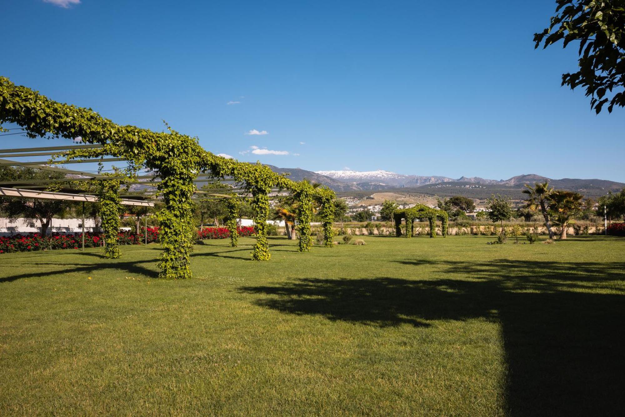 Вілла Cortijo El Maizal Гранада Екстер'єр фото
